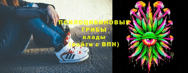 не бодяженный Снежинск